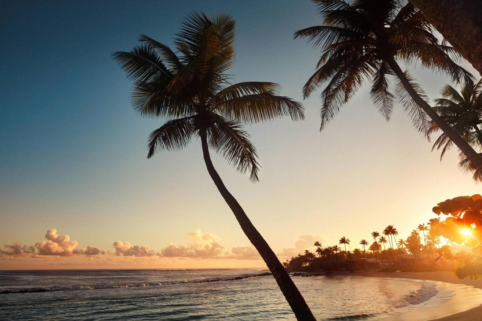 Dorado Beach, A Ritz-Carlton Reserve Eksteriør bilde